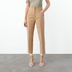 Zara High Waisted Pants in Taupe NEW With Tags